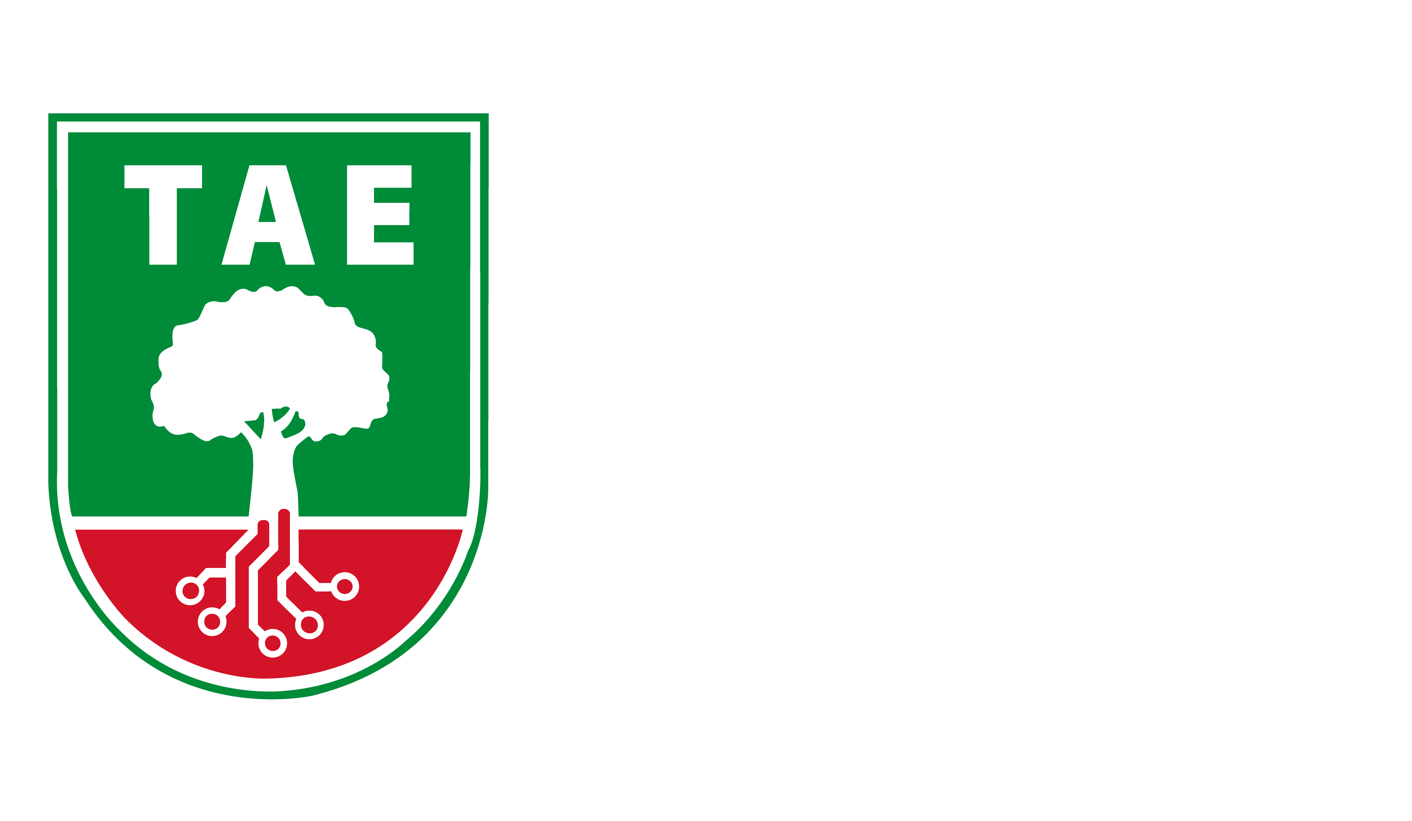 FUNDACION TOMAS ALVA EDISON